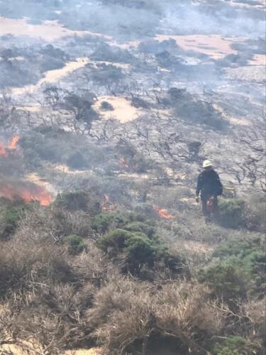 Our resources, actively engaged with Department of Defense on a prescribed fire at Vandenberg Air Force Base.