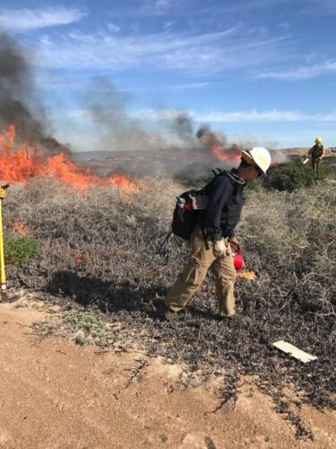 Our resources, actively engaged with Department of Defense on a prescribed fire at Vandenberg Air Force Base.